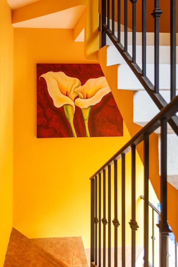 Kaam Accommodations Puerto Morelos Extérieur photo
